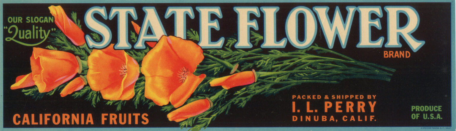 State Flower